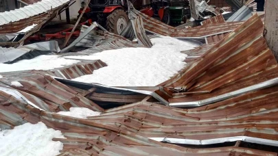 Kar Yağışı Mandıra Çatısını Çökertti: 4 Ton Buğday Zarar Gördü.