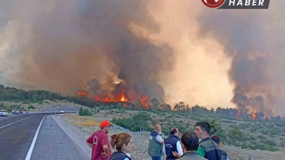 FETÖ Üyesi Astsubay Orman Yangınlarını Kasten Çıkarmakla Yargılanıyor