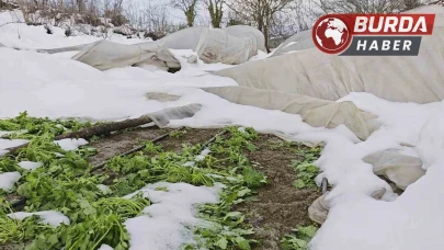 Safranbolu'da Yoğun Kar Yağışı Serayı Yıktı