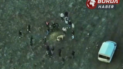 Köpek Dövüştüren 14 Kişiyi Dron ile Tespit Ederek Gözaltına Alındı