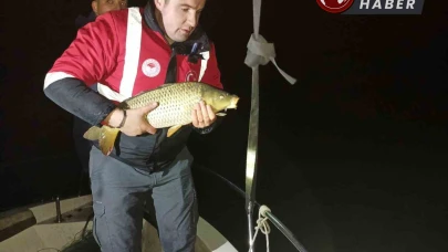 Samsun’da kaçak avcılığa geçit yok: 60 kiloluk sazan suya bırakıldı