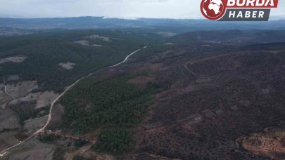 Bursa’da orman yangınında yaralar böyle sarıldı