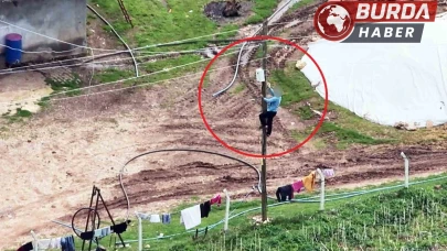 Dronu fark edince kaçak hatları iptal etti
