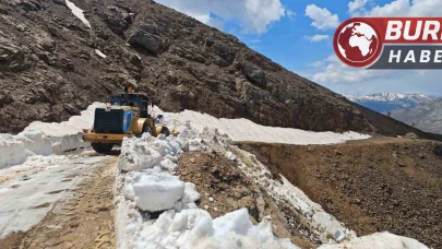 Kulp’ta çığ ve heyelan nedeniyle hasar gören yollarda onarım yapılıyor