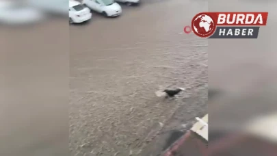 Başkent’te sel sularına kapılan kişiyi kurtarma çabaları