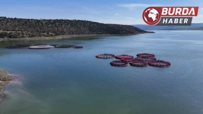 Bozkırdan dünyaya uzanan somon yolculuğu