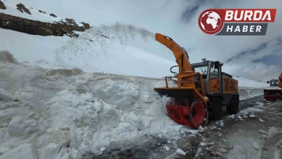 5 aydır kapalı olan Van-Bahçesaray yolunda çalışmalar devam ediyor