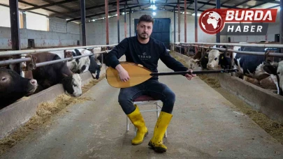 Ankaralı besici hayvanlarına saz çalıp, türkü söylüyor