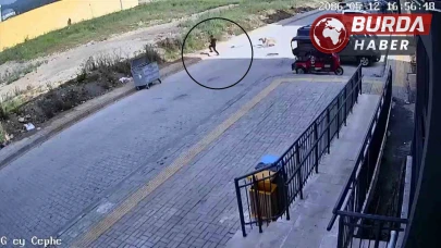 Sokak köpekleri 7 yaşındaki çocuğa saldırdı