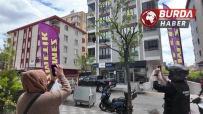 Bahar bereketiyle geldi: Yüzlerce arı şehir içinde yuva yaptı