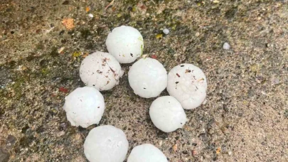 Kayseri'de ceviz büyüklüğünde yağan dolu ağaçlara zarar verdi