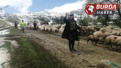 Yaylada mahsur kalan çobanlar 30 saat sonra kurtarıldı