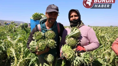 Aydın’da üretiliyor, yurdun dört bir yanına gönderiliyor