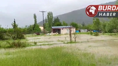 Kelkitçayı taştı, tarım arazileri sular altında kaldı