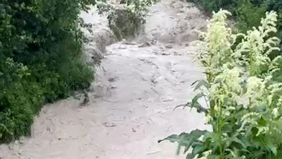 Bolu’da şiddetli yağış sonrası, tarım arazileri sular altında kaldı