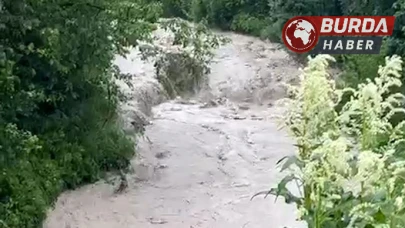 Bolu’da şiddetli yağış sonrası, tarım arazileri sular altında kaldı