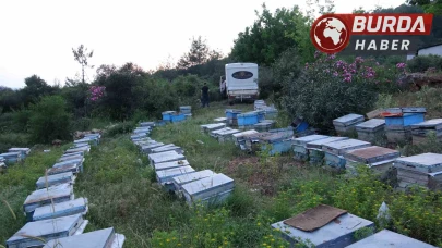 Keven ve kekik balı üretimi için yayla yolculuğu başladı