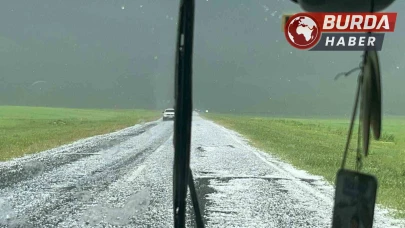 Kars’ta etkili olan dolu tarım arazilerine zarar verdi