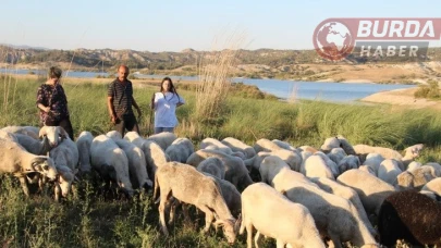 Çobanlık yaparken 2 dil öğrendi, üniversiteyi birincilikle mezun oldu