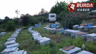 Keven ve kekik balı üretimi için yayla yolculuğu başladı