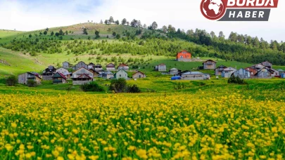 Altınpınar Yaylası ziyaretçilerine eşsiz bir görsel şölen sunuyor