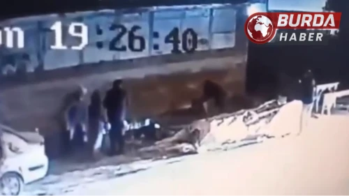 Bursa Osmangazi'de Başıboş Köpek 3 Kişiyi Isırdı: Polis Köpeği Vurdu