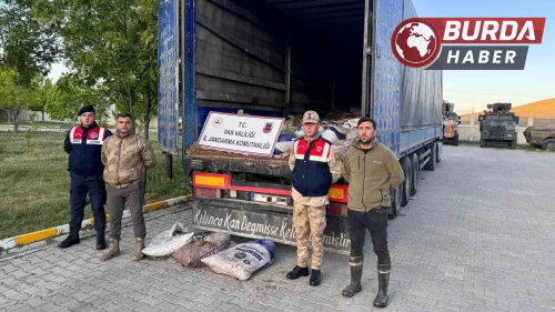 Van’da 22 ton 475 kilogram kaçak avlanmış balık yakalandı.