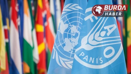 Dışişleri Bakanlığı: "Türkiye FAO Konseyi üyeliğine seçildi"
