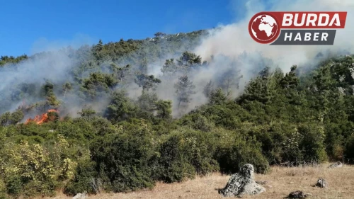 Manisa’daki orman yangınlarına bir yenisi daha eklendi.
