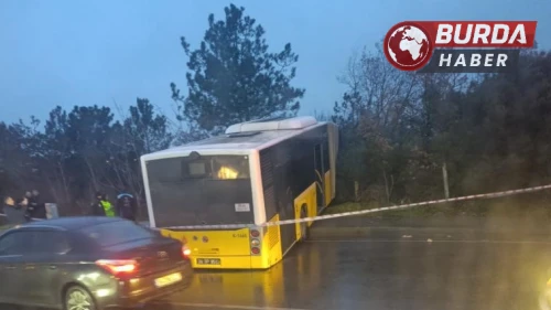 Arnavutköy'de İETT Otobüsü Kontrolden Çıkarak Ormanlık Alana Uçtu