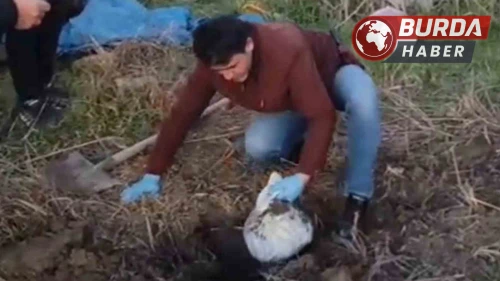 Hatay'da Altın Hırsızları Yakalandı: Altınlar Toprağa Gömülü Bulundu