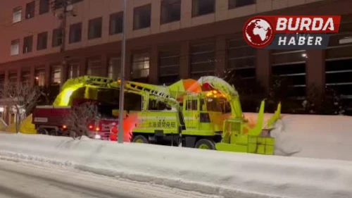 Japonya'da Şiddetli Kar Yağışında Ölü Sayısı 35'e Yükseldi