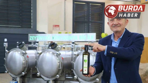 Zeytin üreticilerine müjde: Soğuk sıkımda sıcak sıkım verimi