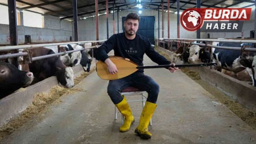 Ankaralı besici hayvanlarına saz çalıp, türkü söylüyor