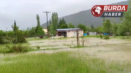 Kelkitçayı taştı, tarım arazileri sular altında kaldı