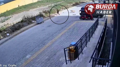 Sokak köpekleri 7 yaşındaki çocuğa saldırdı