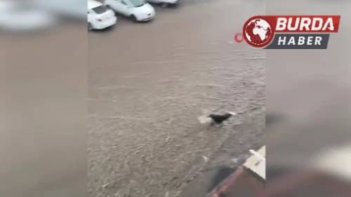 Başkent’te sel sularına kapılan kişiyi kurtarma çabaları