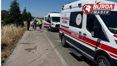 Arının neden olduğu kazada 1 kişi hayatını kaybetti