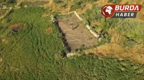Şırnak merkezli 3 ilde uyuşturucu operasyonu: 5 kişi gözaltına alındı