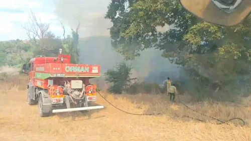 Subaşı'da Ormanlık Alanda Çıkan Yangın Kontrol Altına Alındı