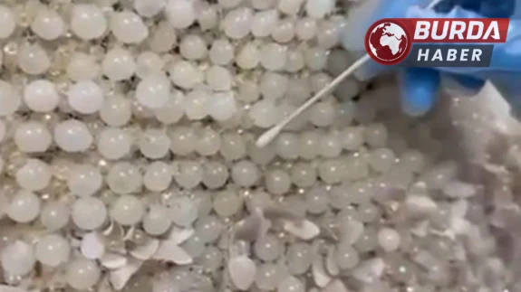 Gelinlik üzerinde boncuk şeklinde 25 kilo uyuşturucu ele geçirildi