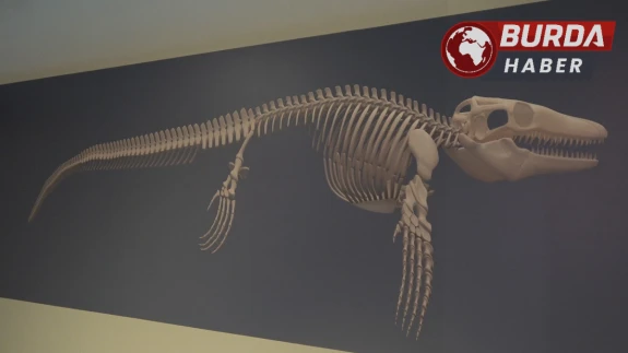 Türk Profesör, Asya’da Keşfedilen İlk ''Deniz Dinozoru''nu Tanıttı