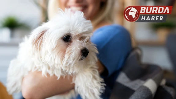 Markete köpeğiyle giren kadına yumruklu saldırı!