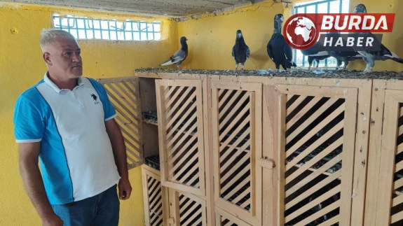 Kayıp güvercinleri için ödülü 100 bin liraya çıkardı.