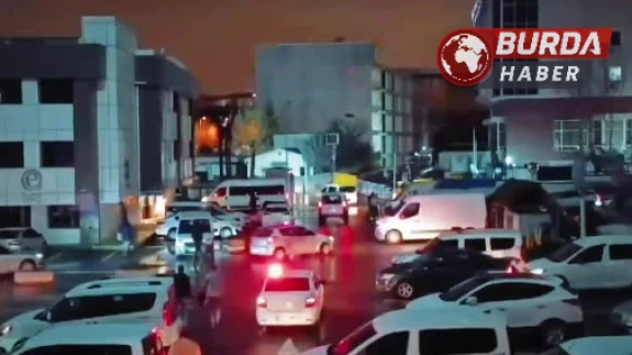 İstanbul'da Dev Operasyon: 490 Kg Skunk ve 71 Kg Eroin Ele Geçirildi