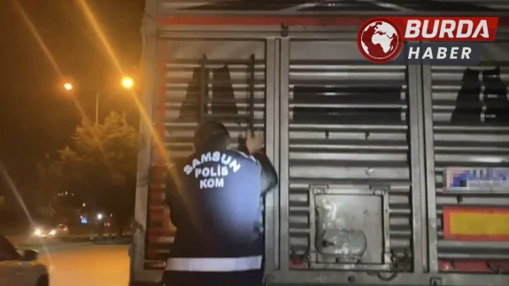 Samsun'da Durdurulan Tırda 215 Kilo Kaçak Tütün Ele Geçirildi