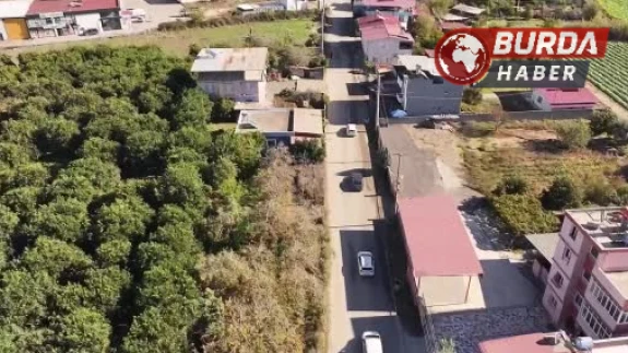 Bakan Yerlikaya: 72 İlde 970 Zehir Taciri Yakalandı