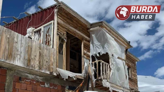 Kış uykusundan uyanan ayılar Bayburt’ta yayla evlerini darmadağın etti