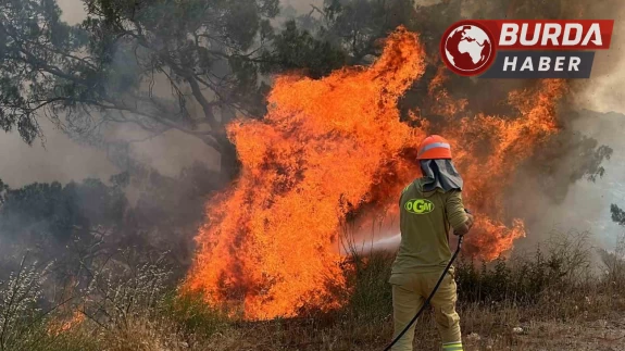Yatağan'da çıkan orman yangını büyümeden söndürüldü
