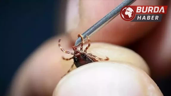 Kenenin yapıştığı yaşlı kadın öldü, kentte ölü sayısı 8’e çıktı.